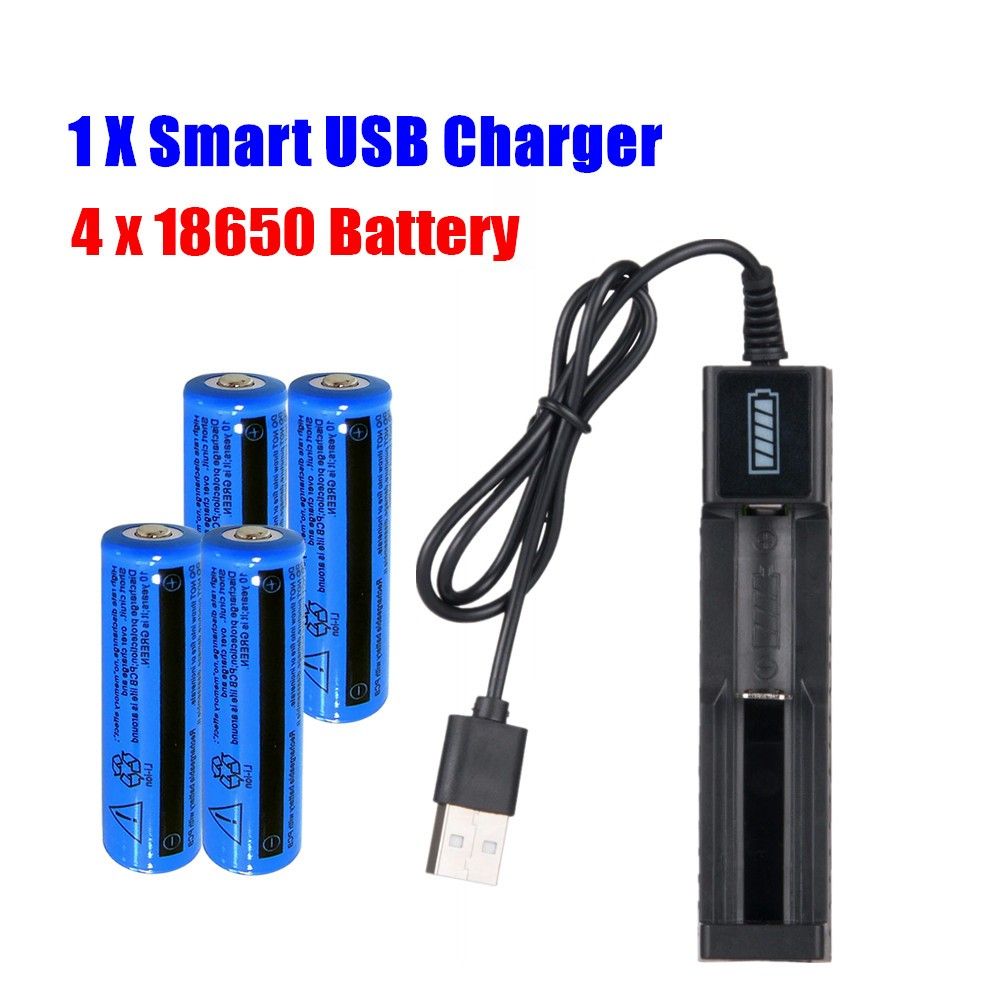 Rechargeable Button-Top Batteries and USB Charger