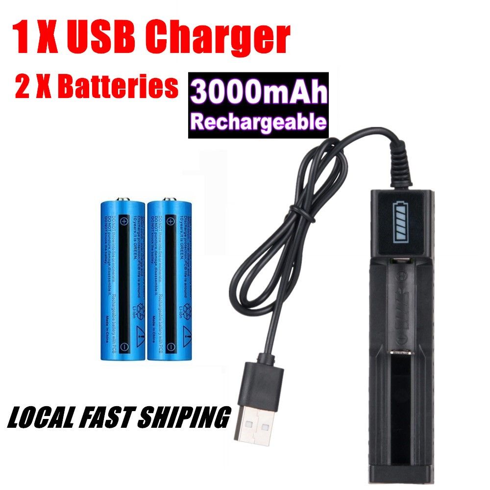 Rechargeable Button-Top Batteries and USB Charger
