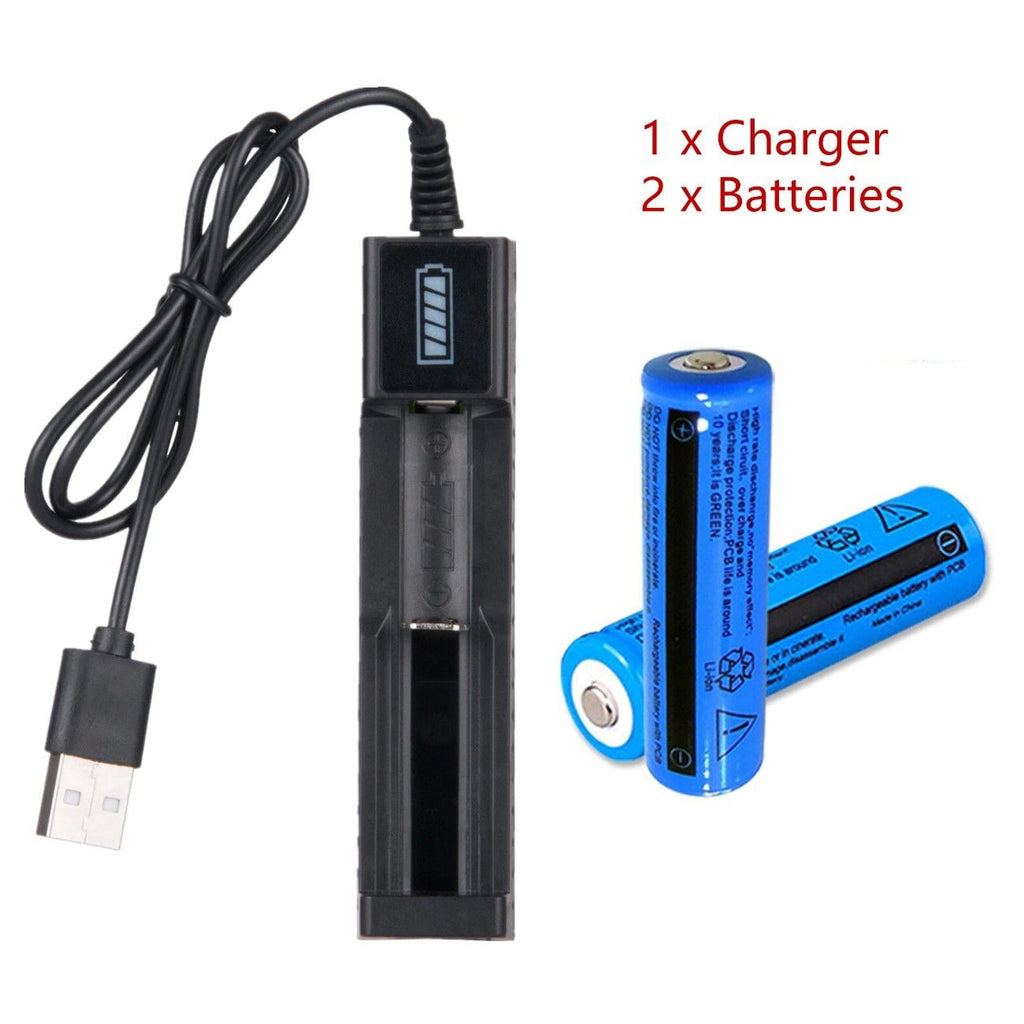 Rechargeable Button-Top Batteries and USB Charger