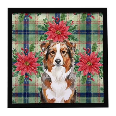 Red Merle Australian Shepherd Christmas Framed Art
