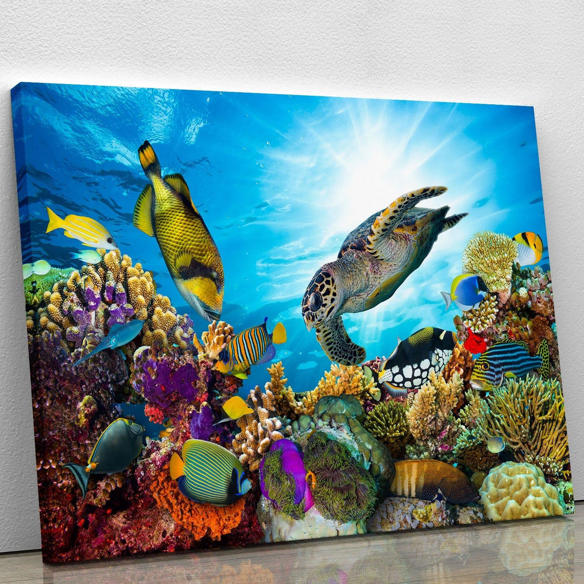 Reef with Fishes and Sea Turtle Wall Art