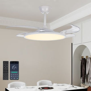 Ceiling Fan Light with Three Color Settings
