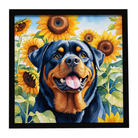 Rottweiler in Sunflowers Framed Metal Print – Ready to Hang, Glass-Free