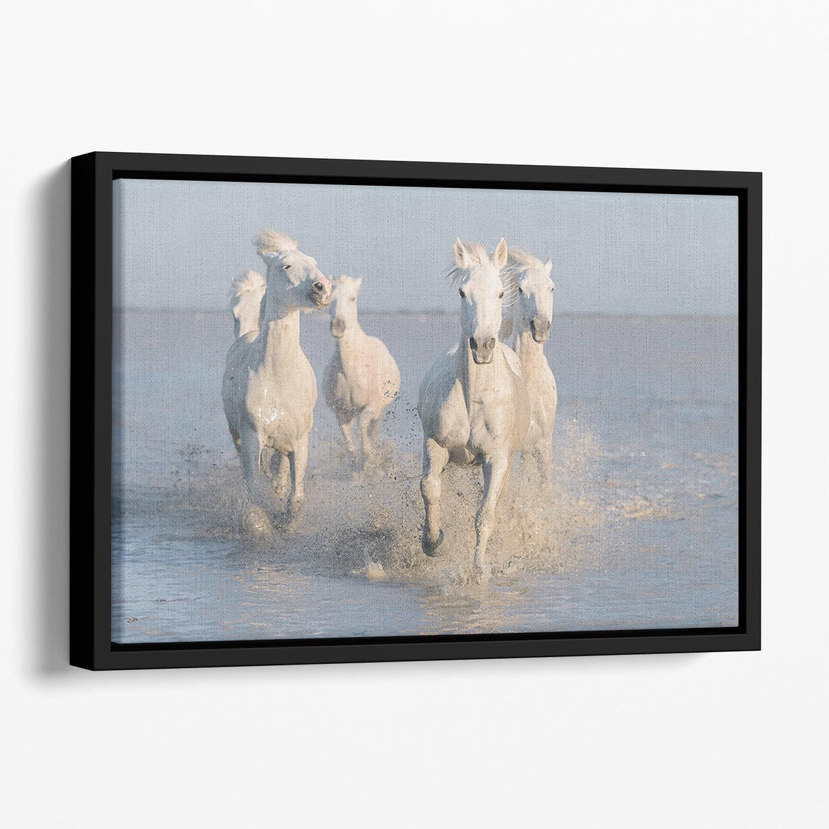 Running White Horses Floating Framed Canvas