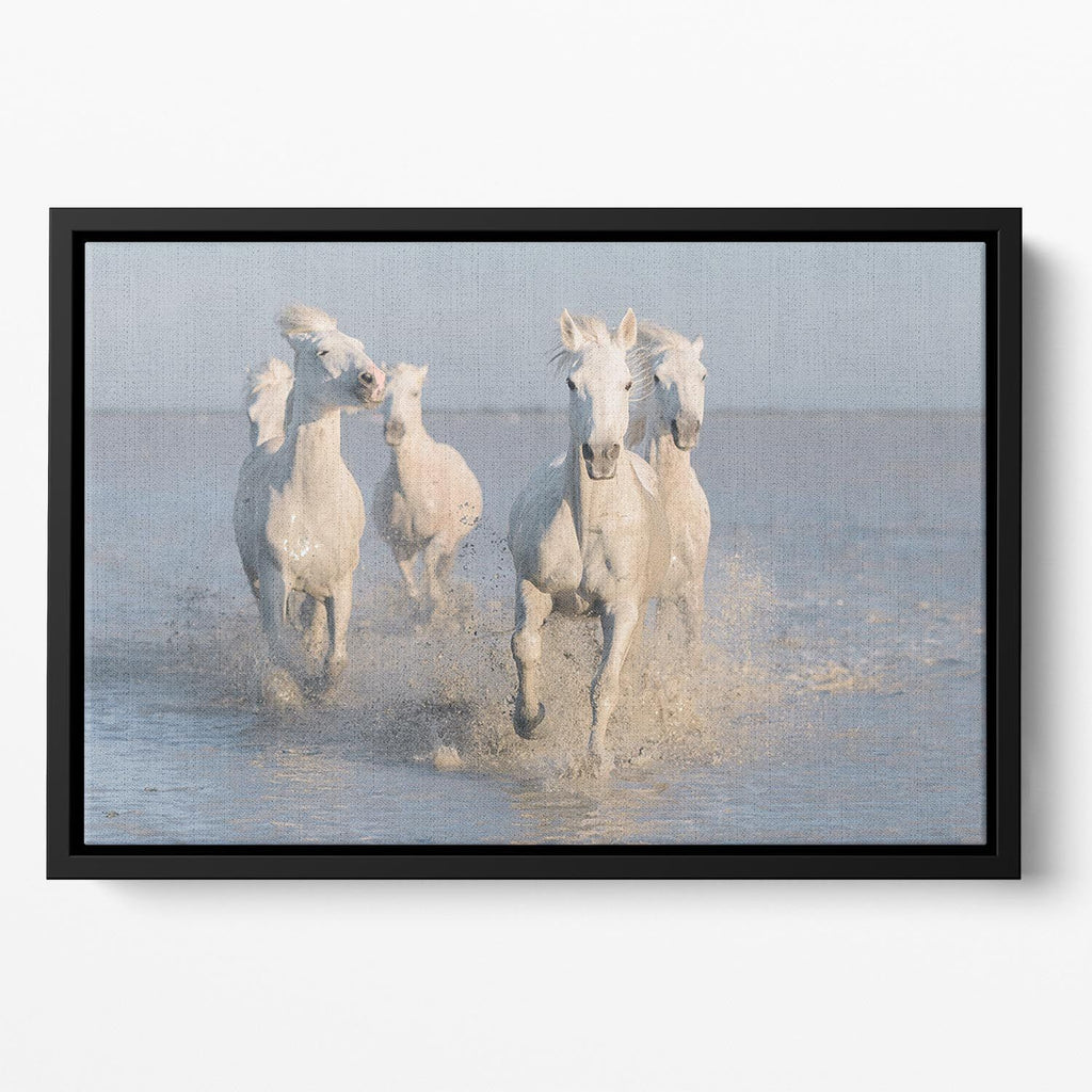 Running White Horses Floating Framed Canvas