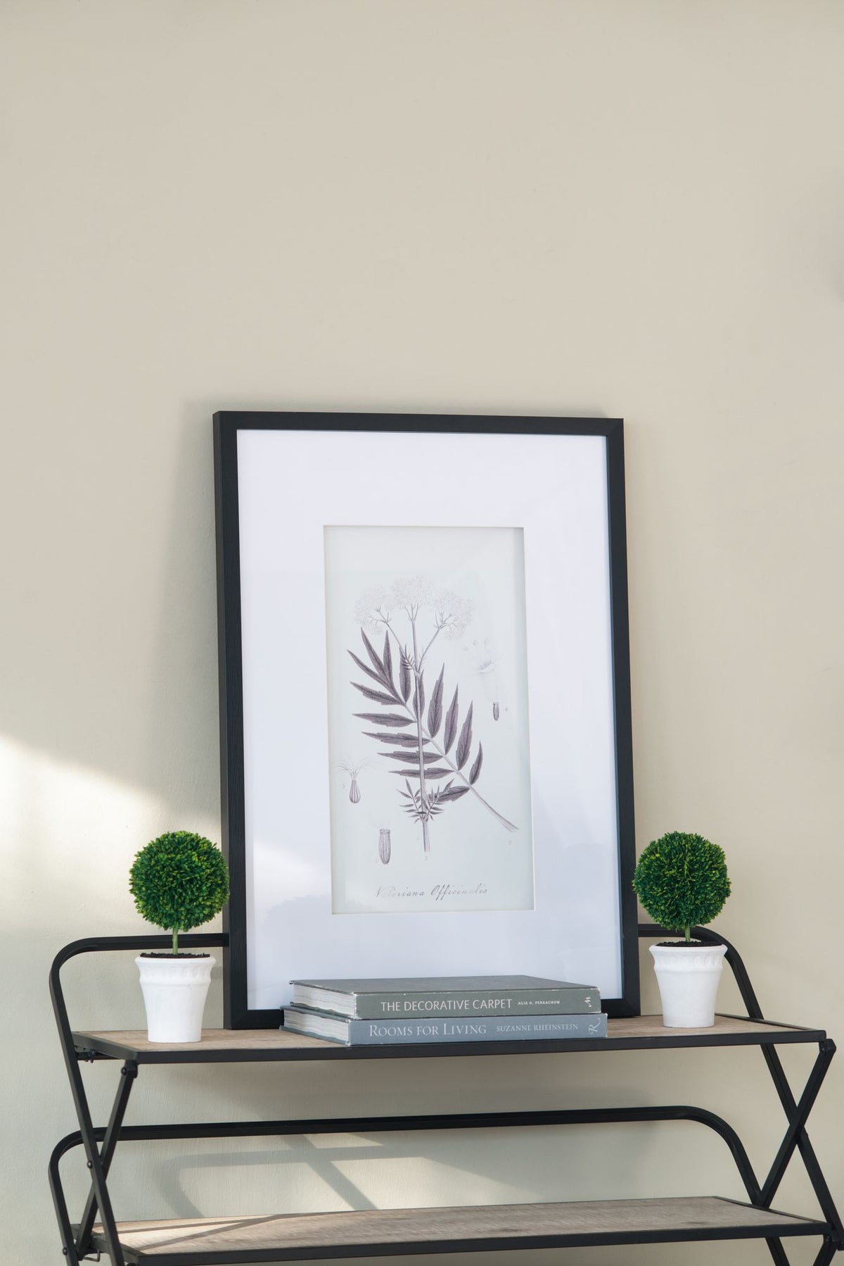 Four-Piece Black-and-White Botanical Wall Art Set