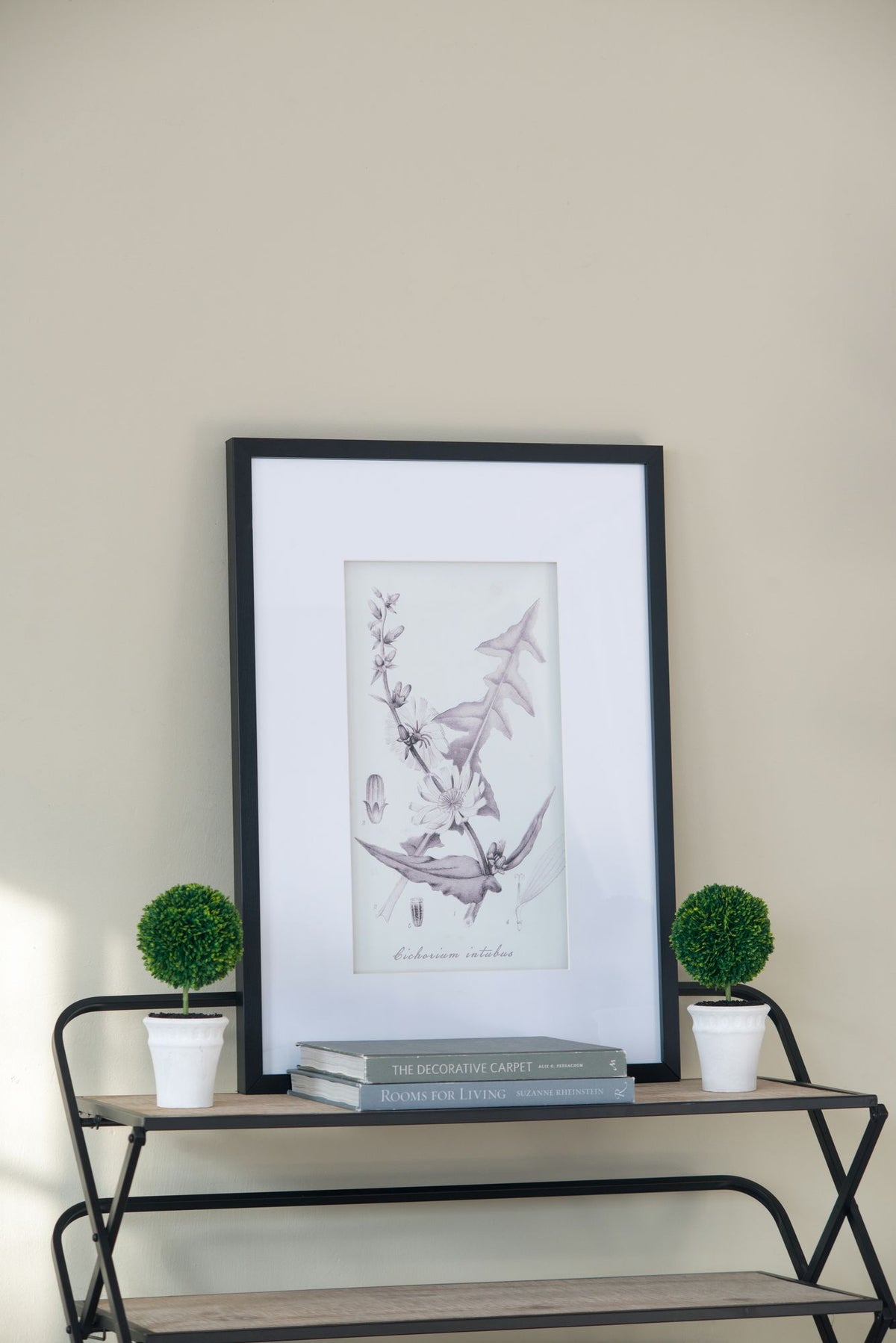 Four-Piece Black-and-White Botanical Wall Art Set