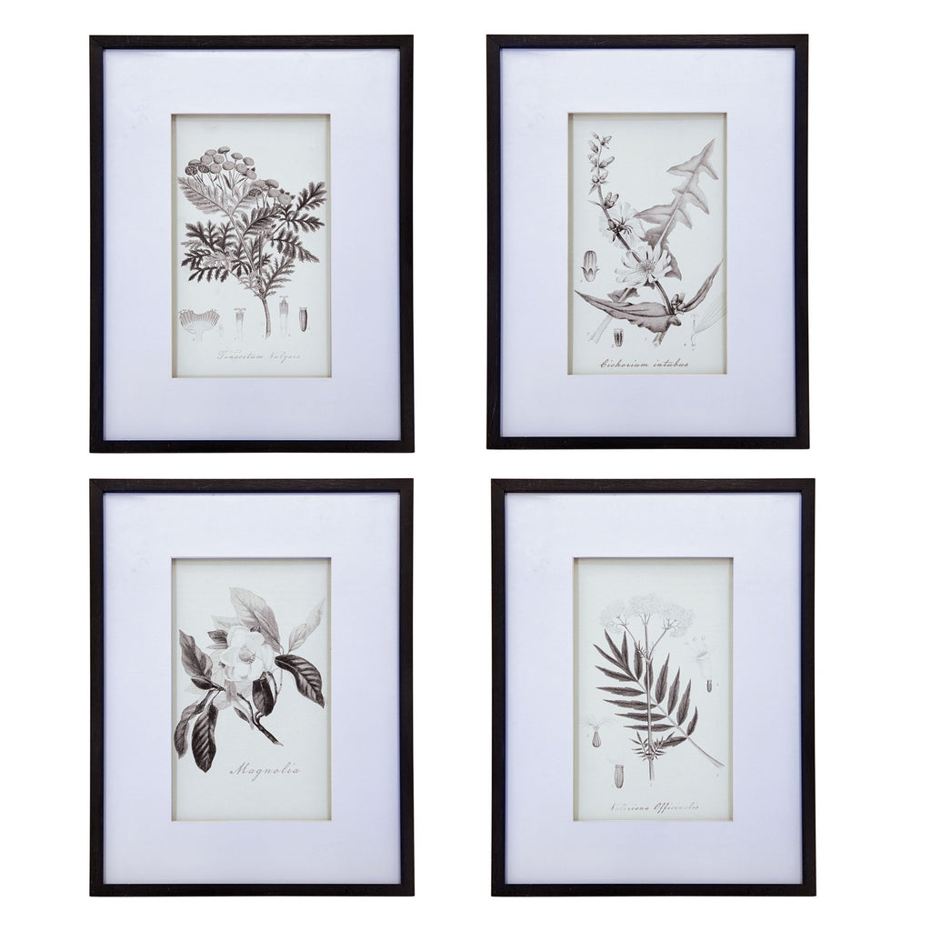 Four-Piece Black-and-White Botanical Wall Art Set