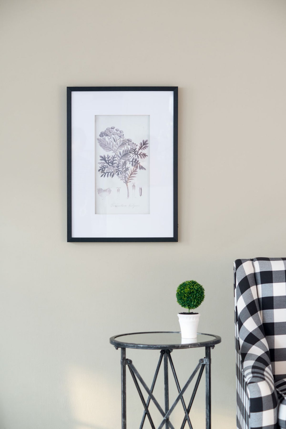 Four-Piece Black-and-White Botanical Wall Art Set