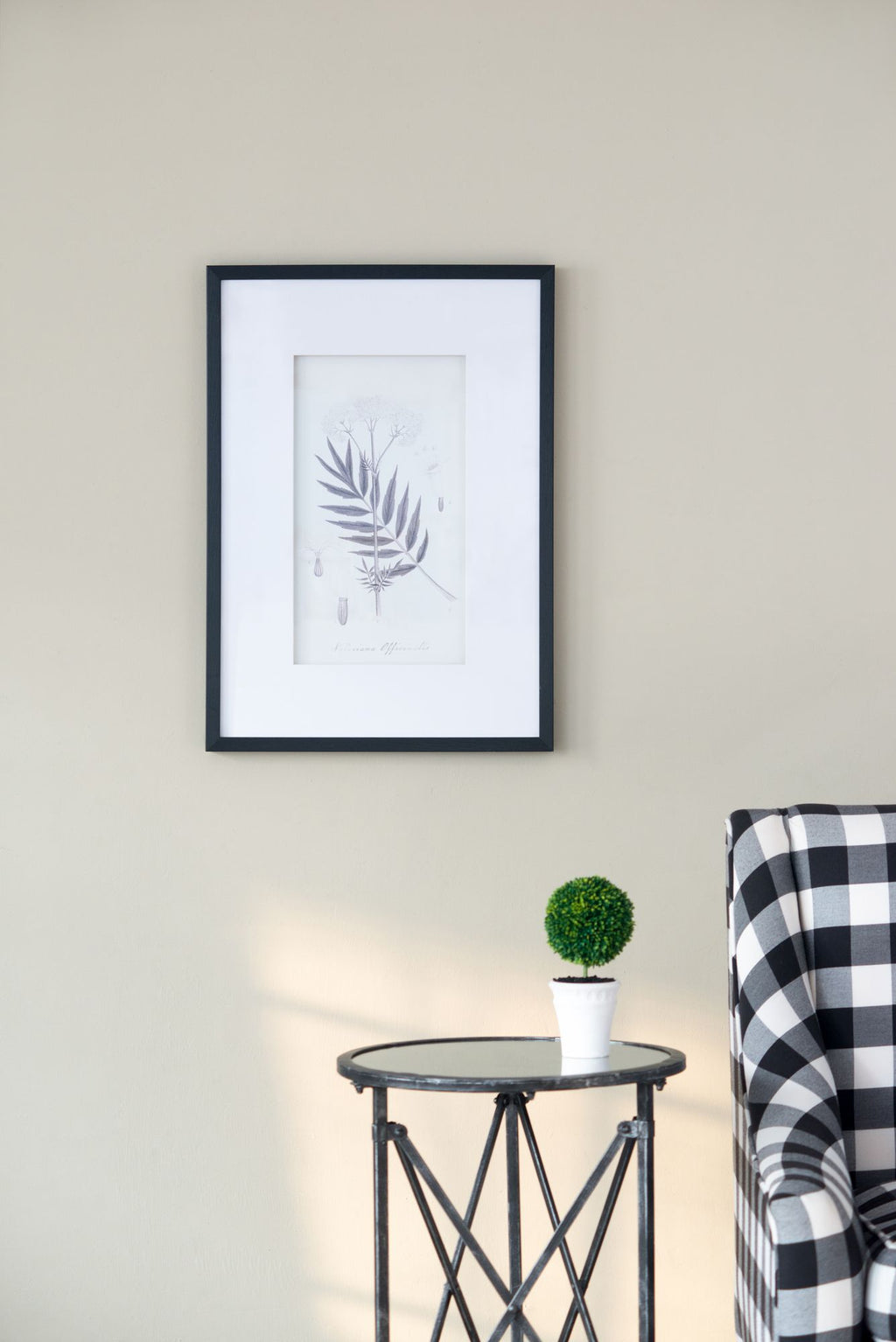 Four-Piece Black-and-White Botanical Wall Art Set