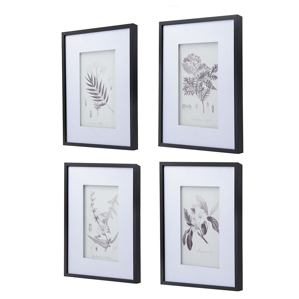 Four-Piece Black-and-White Botanical Wall Art Set
