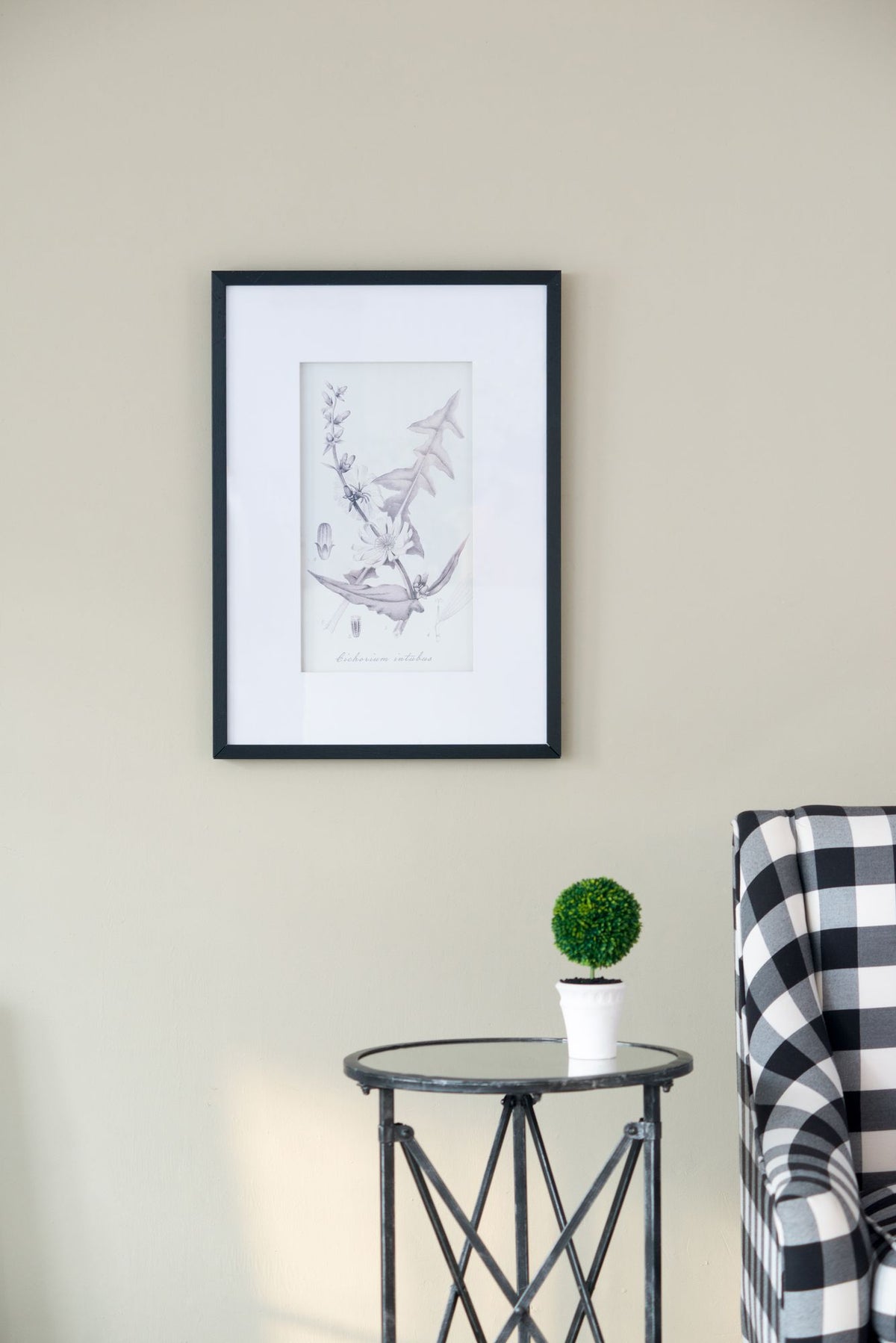 Four-Piece Black-and-White Botanical Wall Art Set