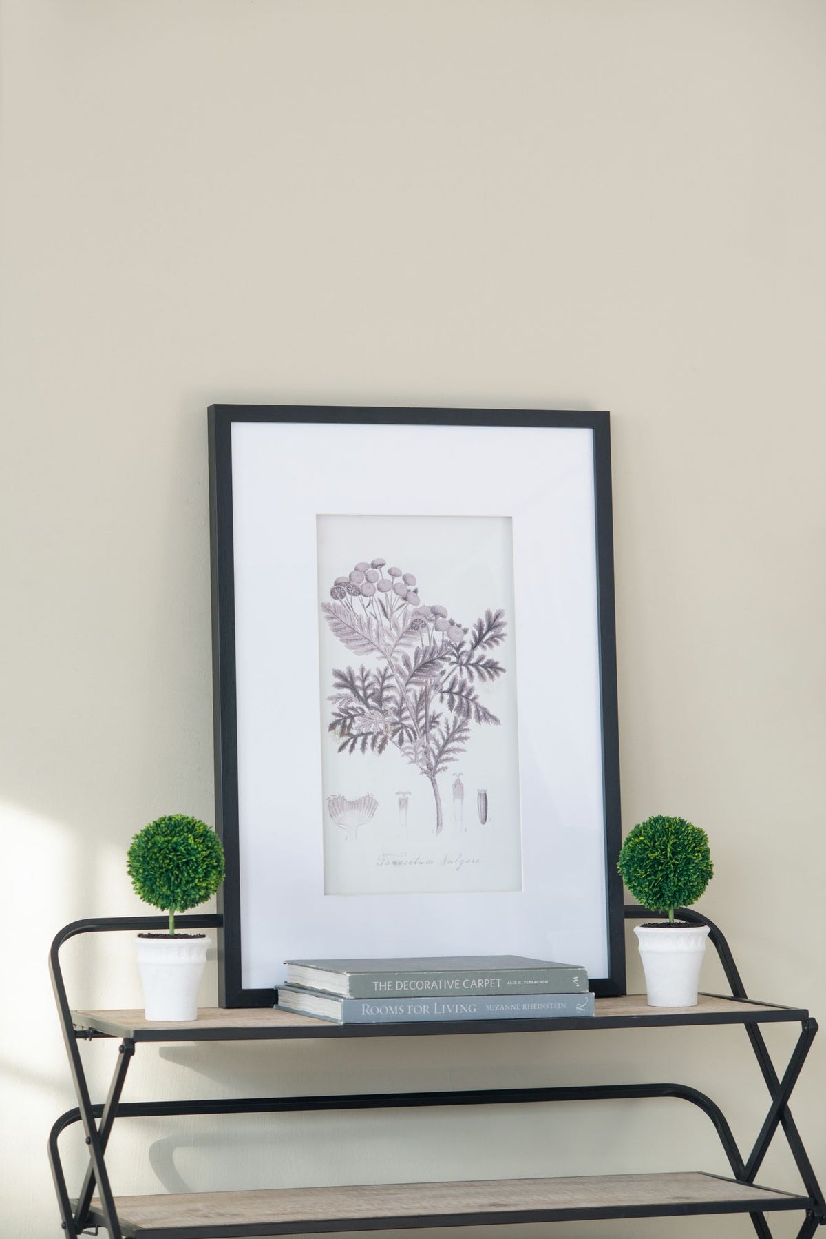 Four-Piece Black-and-White Botanical Wall Art Set