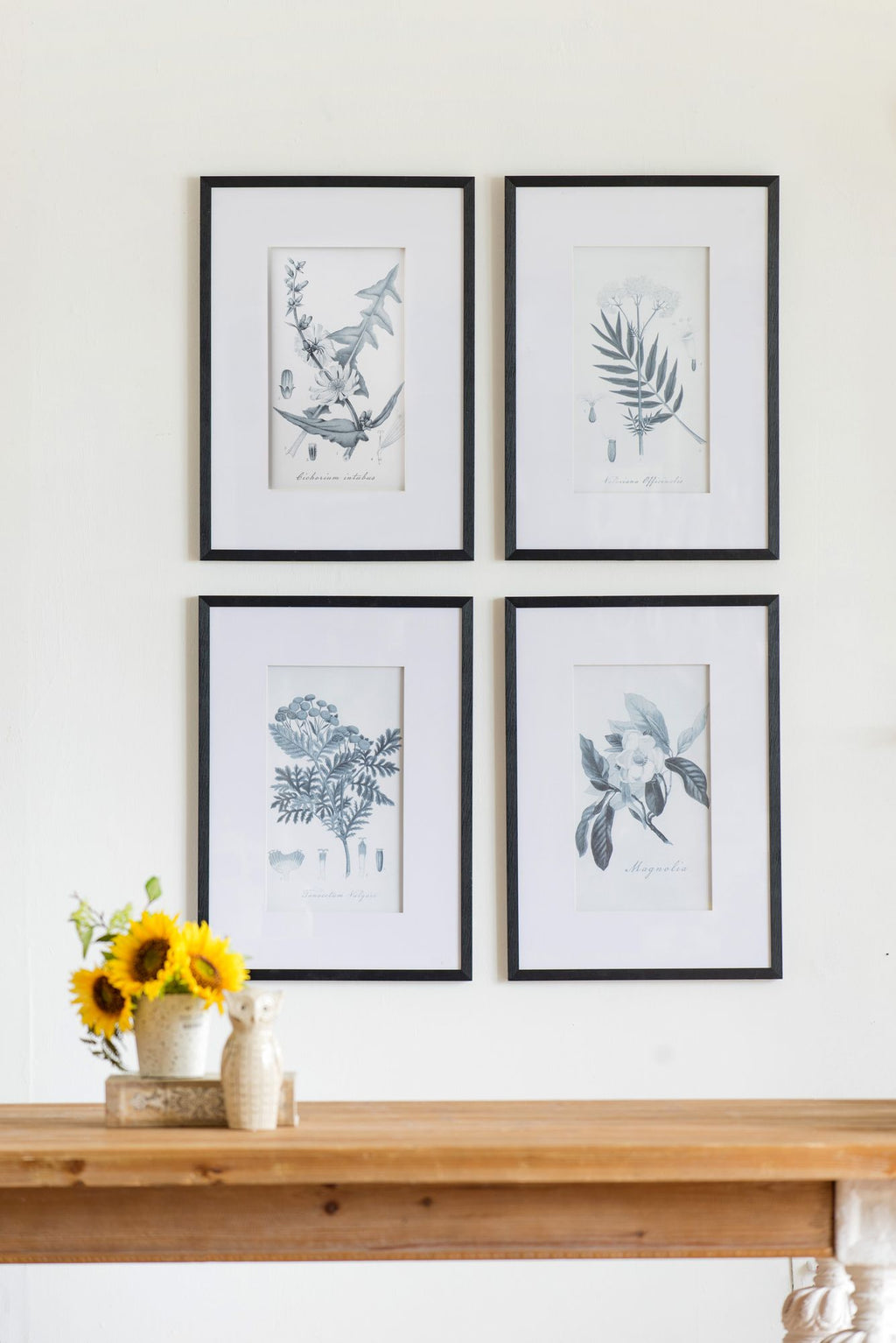 Four-Piece Black-and-White Botanical Wall Art Set