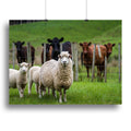 Sheep and Cows Pastoral Wall Art