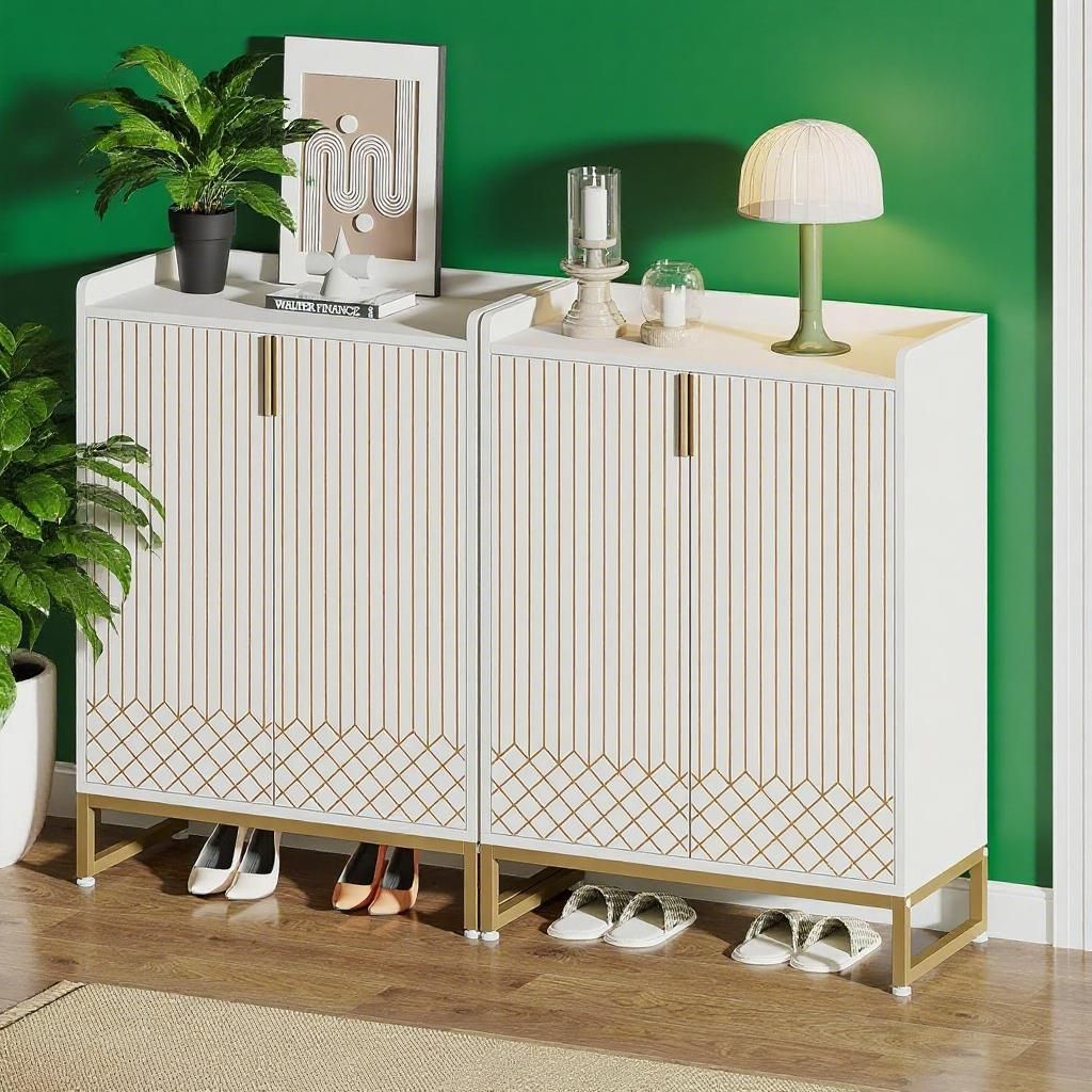 Sleek Shoe Cabinet with Ample Storage