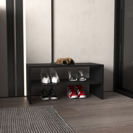 Compact Black 2-Shelf Shoe Rack for Entryways and Closets