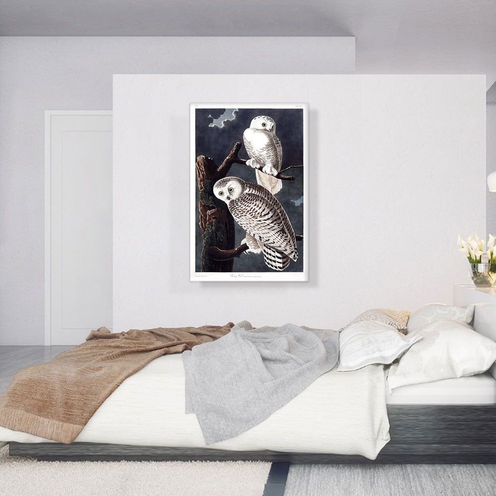 Snowy Owl Canvas Wall Art