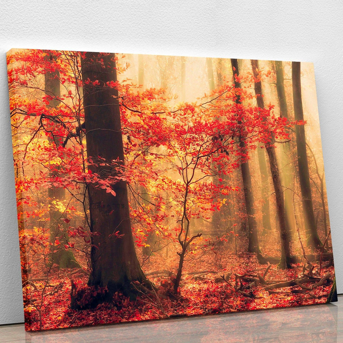 Soft Fall Wall Art Print