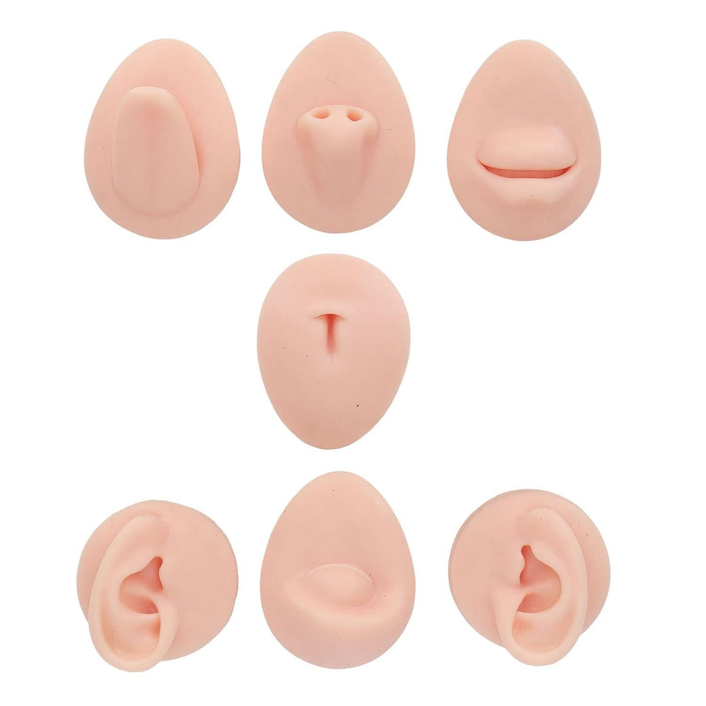 Body Piercing Practice Model Display Set