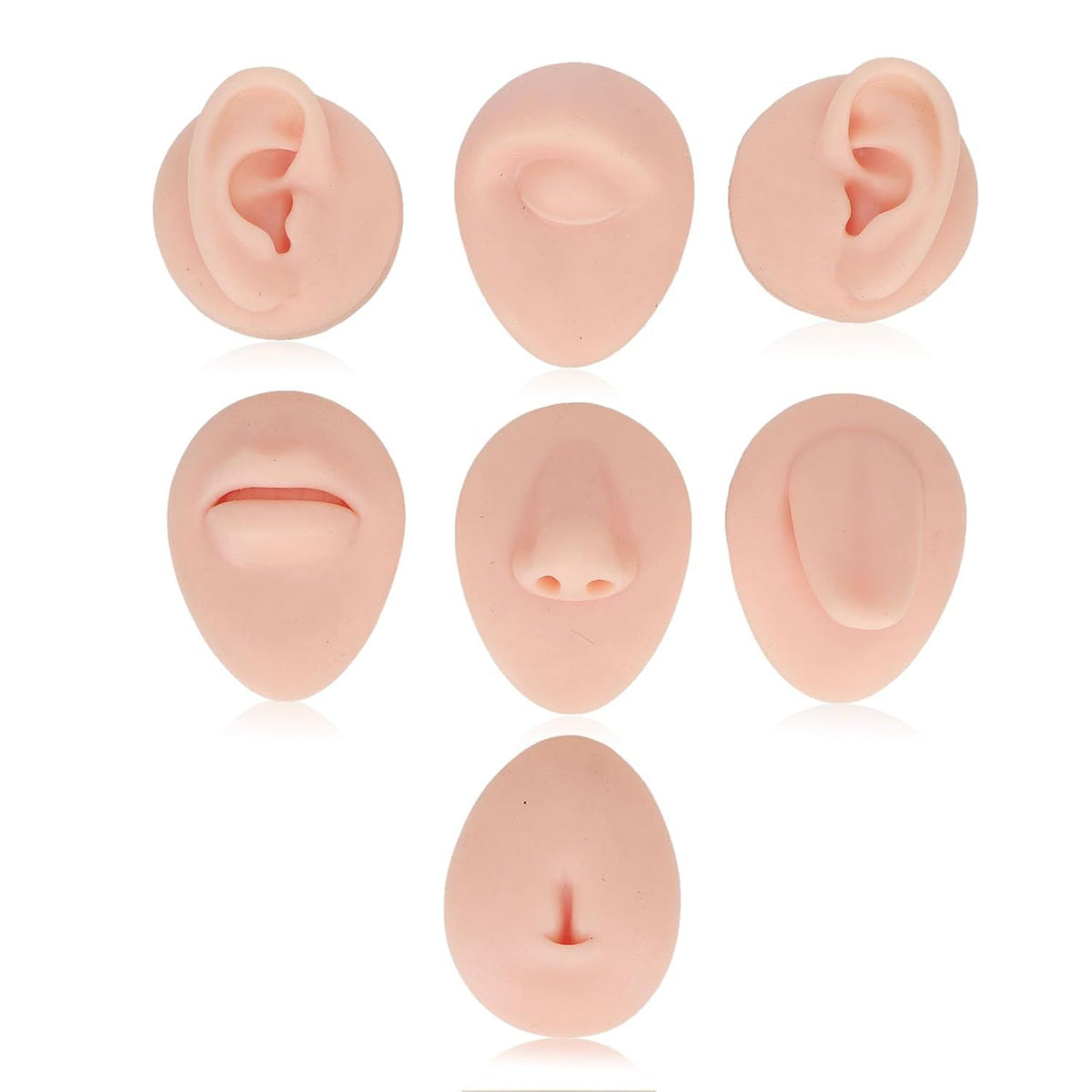 Body Piercing Practice Model Display Set