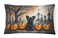 Affenpinscher Halloween Indoor and Outdoor Throw Pillow