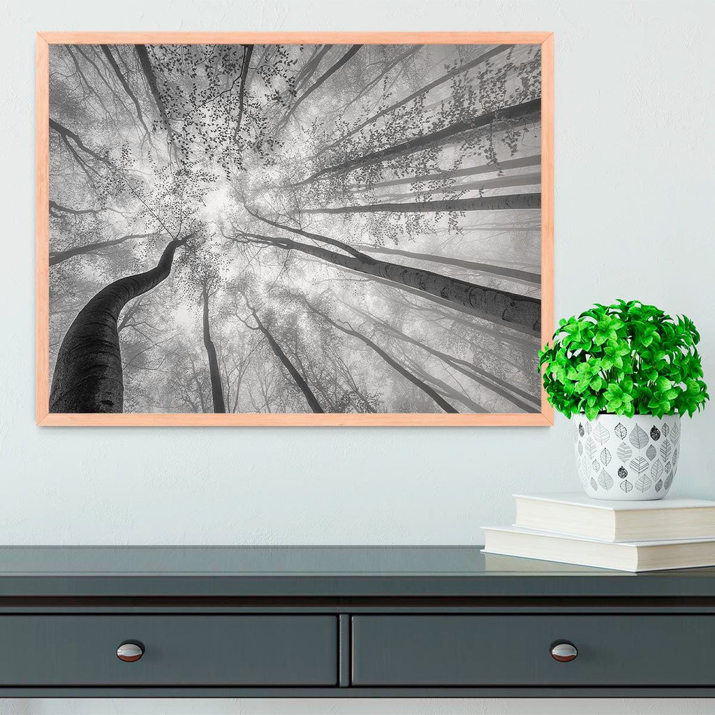 Spring Crown of Trees Framed Wall Art