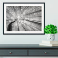 Spring Crown of Trees Framed Wall Art