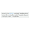 Spry Cinnamon Xylitol Chewing Gum