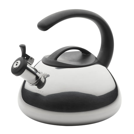 Polished Stainless Steel Whistling Tea Kettle – 2.3 Quart, Easy Pour & Rapid Heat