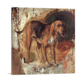 Study of a Bloodhound 1848 Canvas Wall Art - 12" x 12" / 30cm x 30cm (approx) / Standard Framed Canvas Print