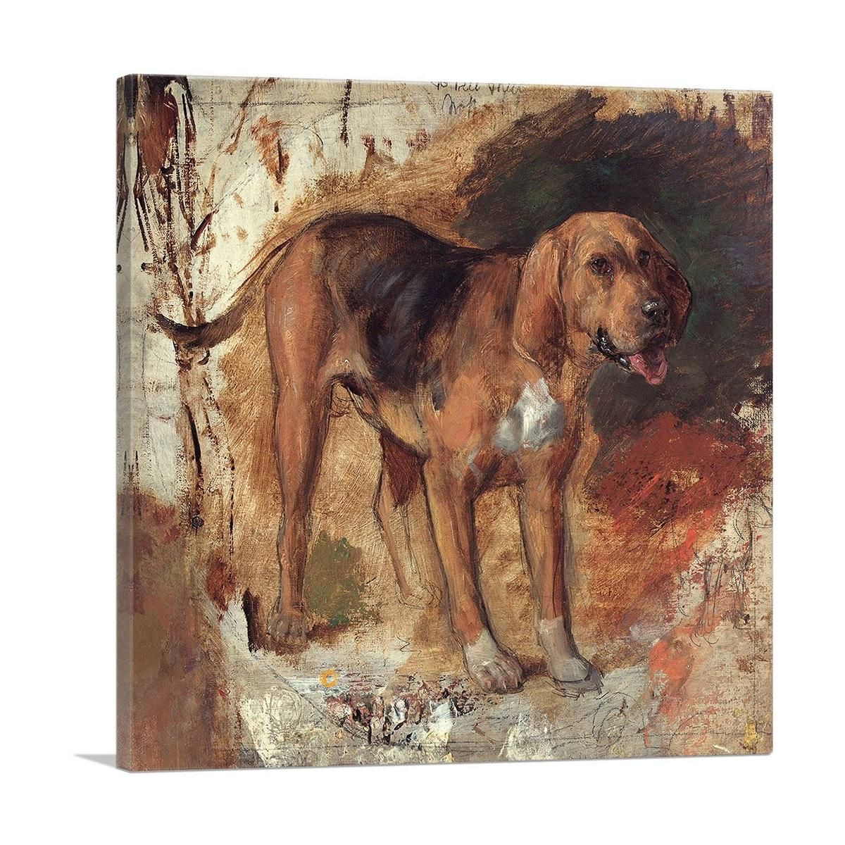 Study of a Bloodhound 1848 Canvas Wall Art - 12" x 12" / 30cm x 30cm (approx) / Standard Framed Canvas Print