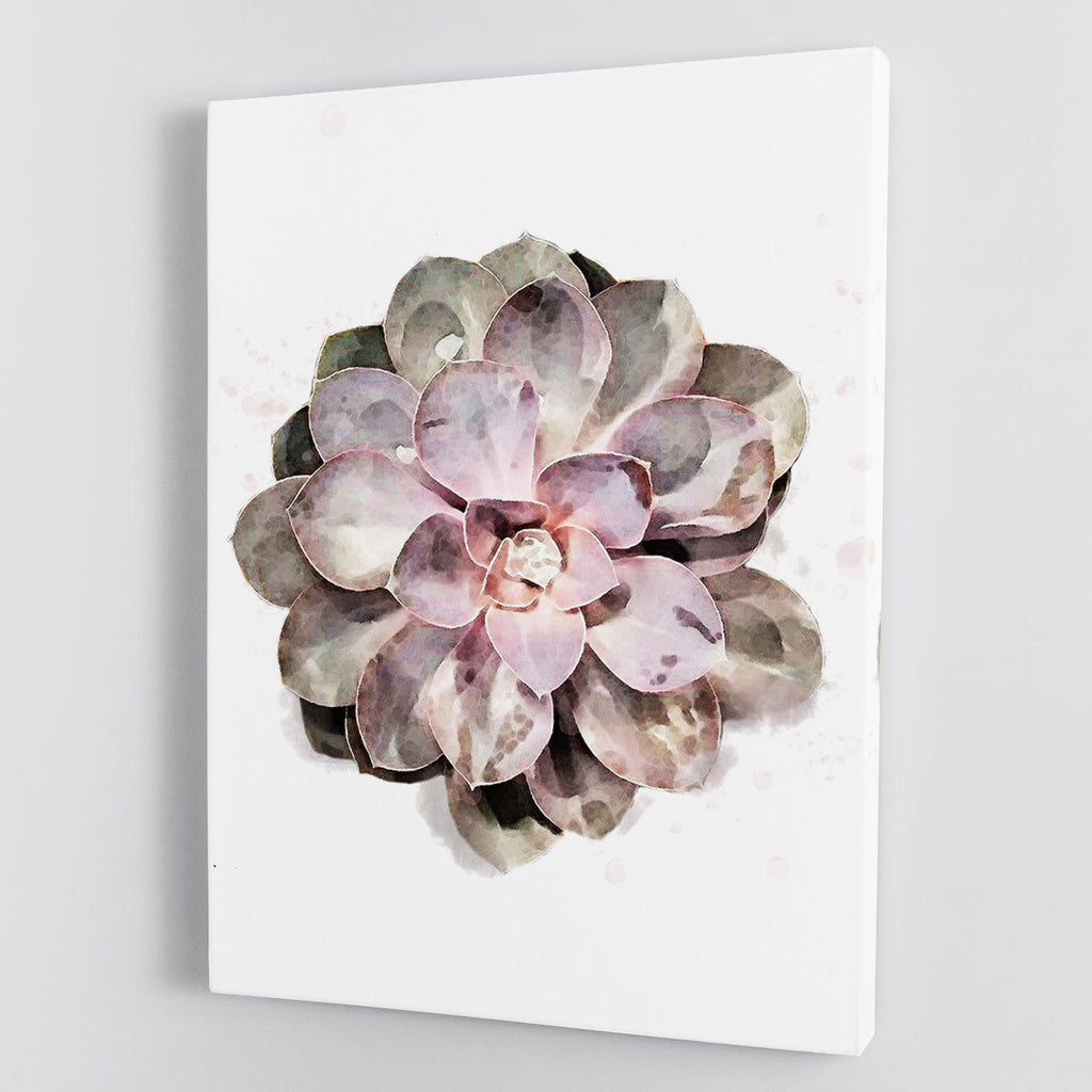Succulent 01 Botanical Wall Art