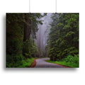 Telephone Box Canvas Print or Poster