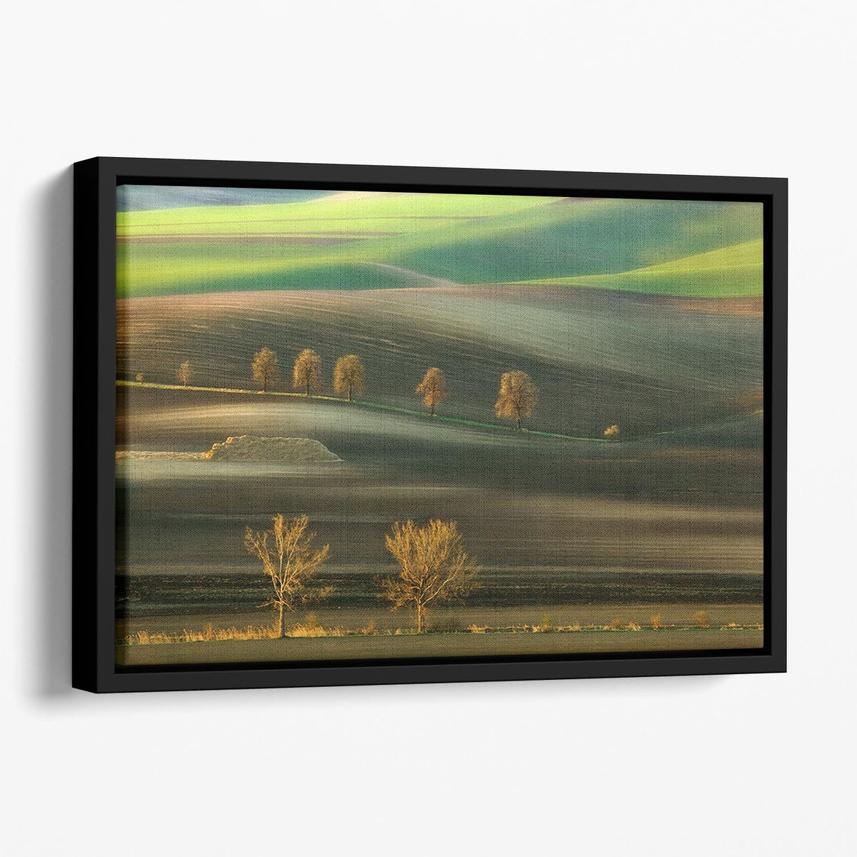 Premium Framed Wall Art for Timeless Decor