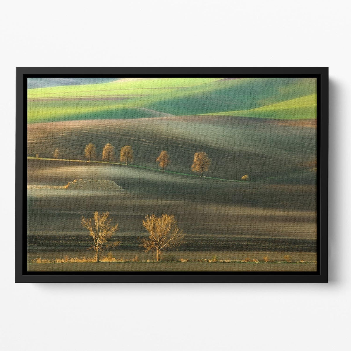 Premium Framed Wall Art for Timeless Decor