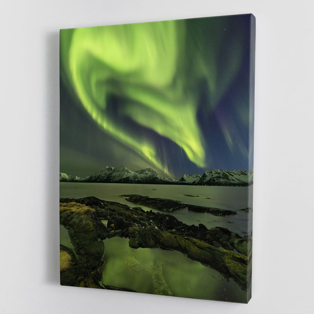 The Aliens Head Print or Poster Wall Art