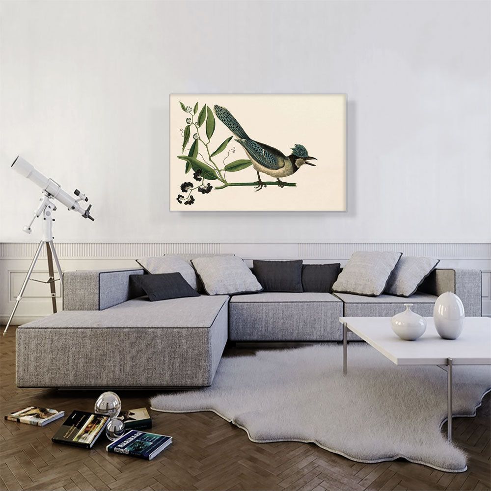 The Blue Jay Wall Art