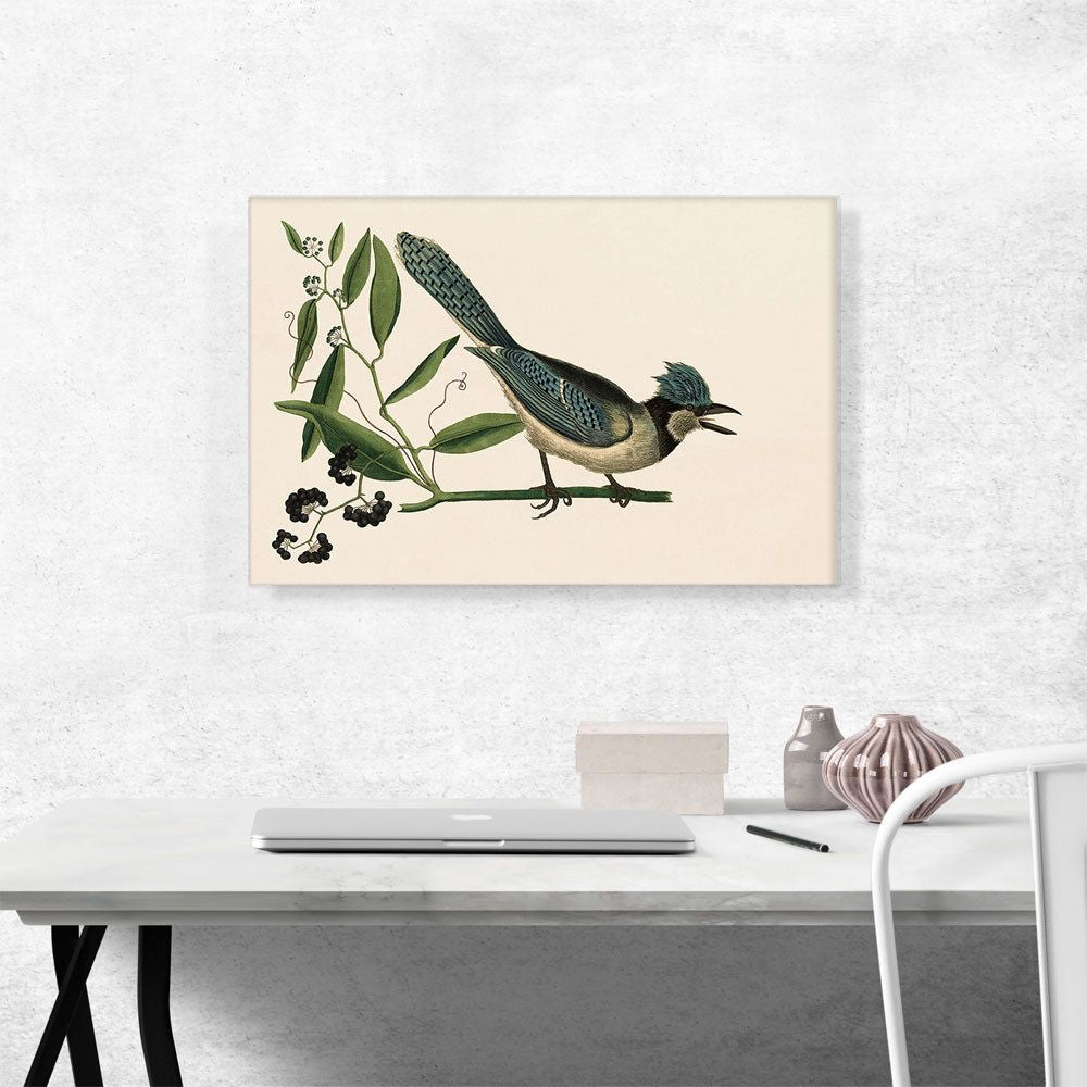 The Blue Jay Wall Art
