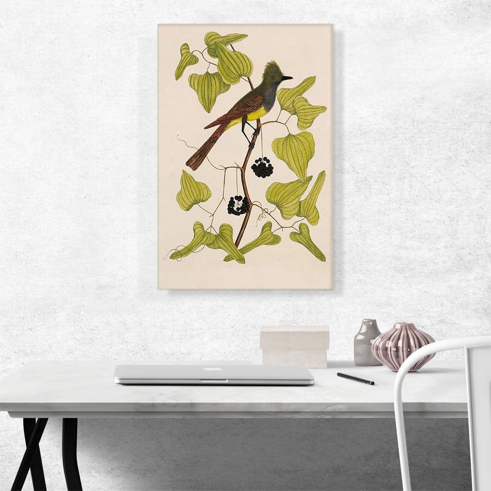 The Crested Fly Catcher Bird Wall Art