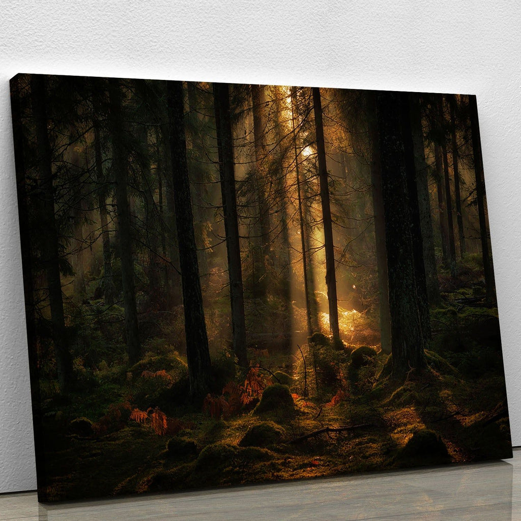 The Light in the Forest Nature-Inspired Wall Art