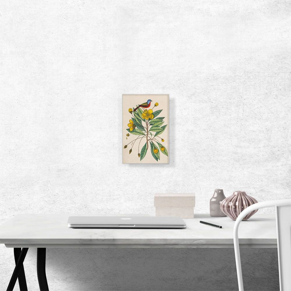 The Painted Finch Wall Art