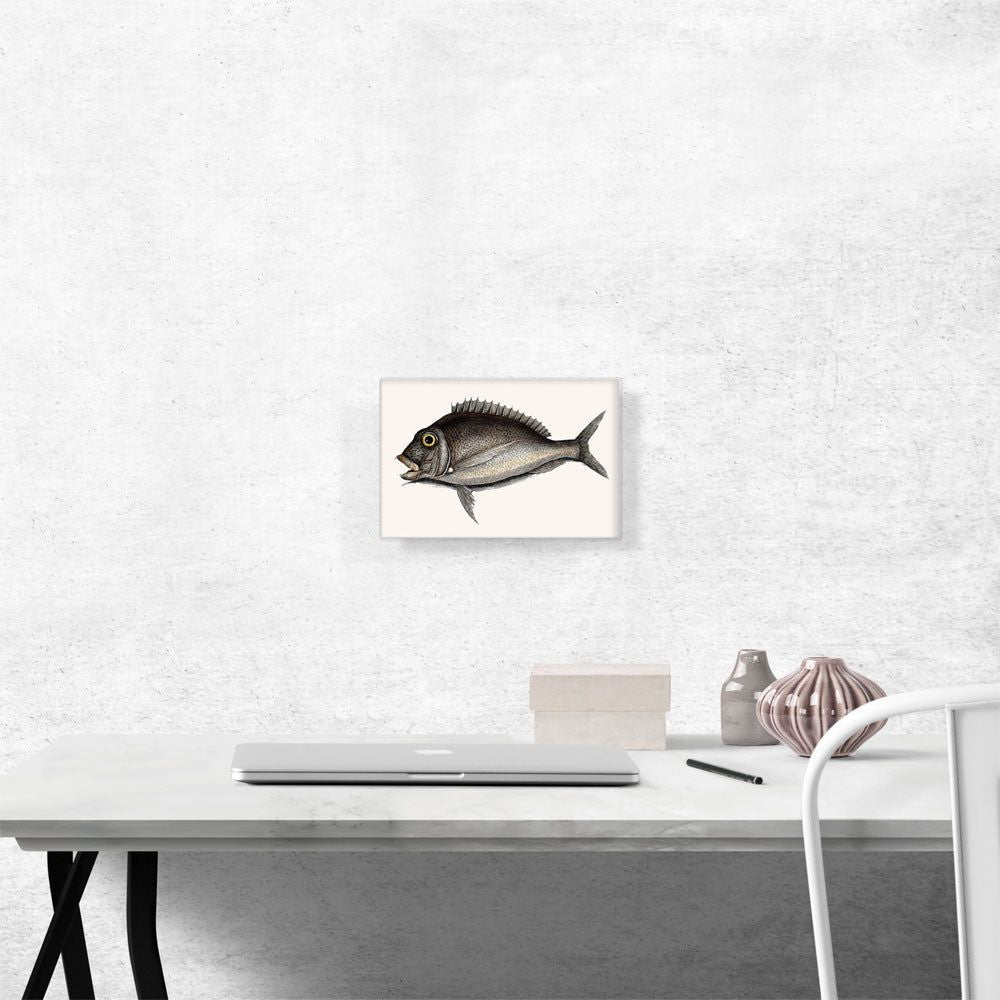 The Porgy 1754 for Home Organization