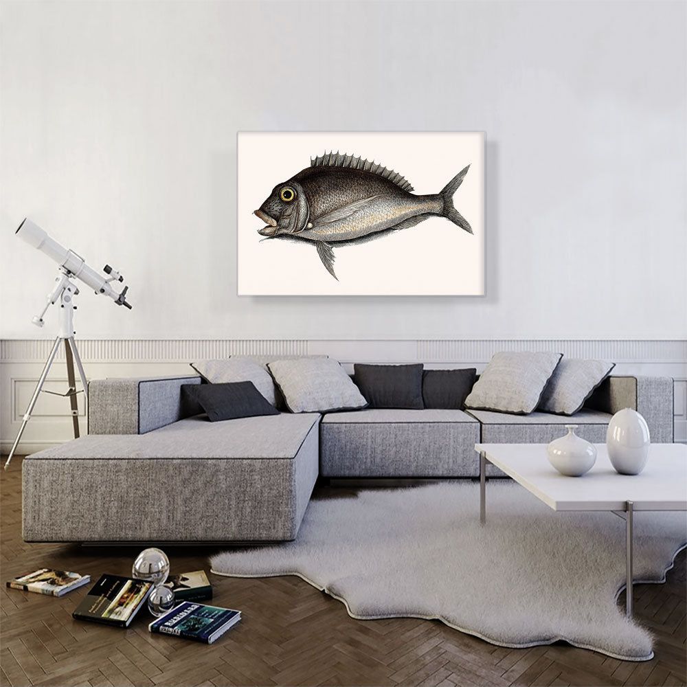 The Porgy 1754 for Home Organization