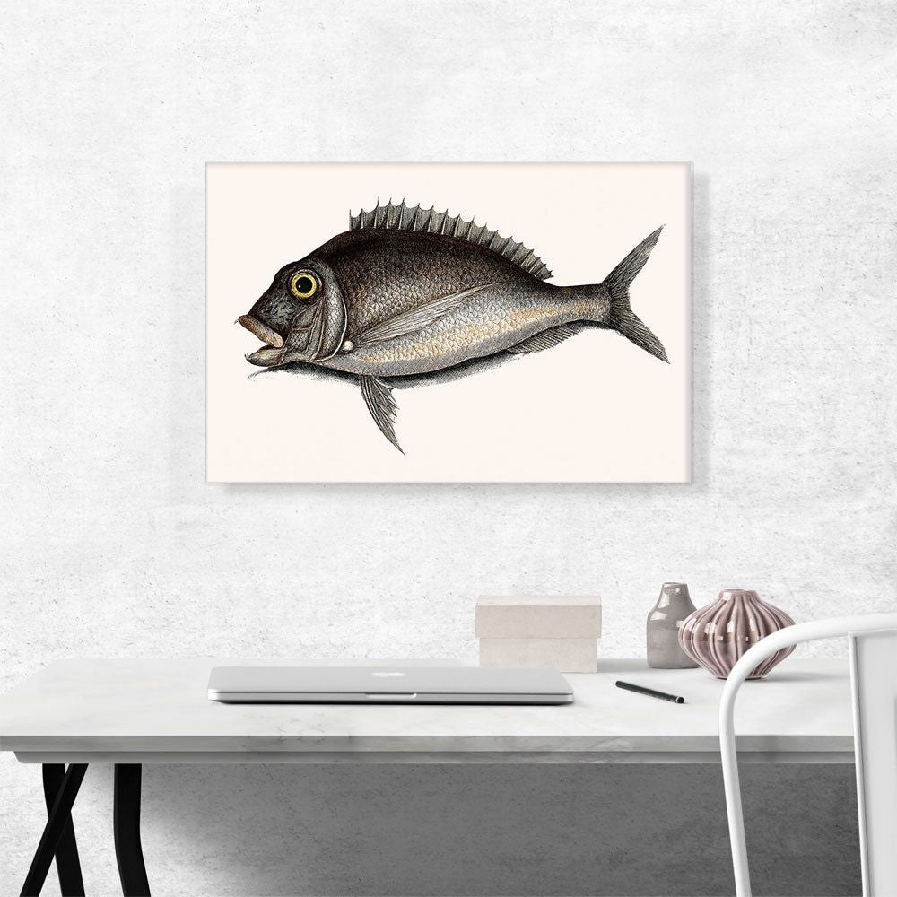 The Porgy 1754 for Home Organization