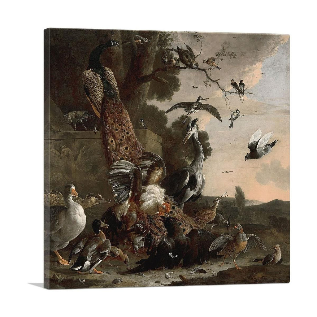 The Raven Robbed of the Feathers 1671