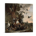 The Raven Robbed of the Feathers 1671