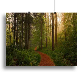 The Red Path Expressive Wall Art