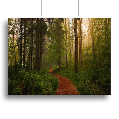 The Red Path Expressive Wall Art