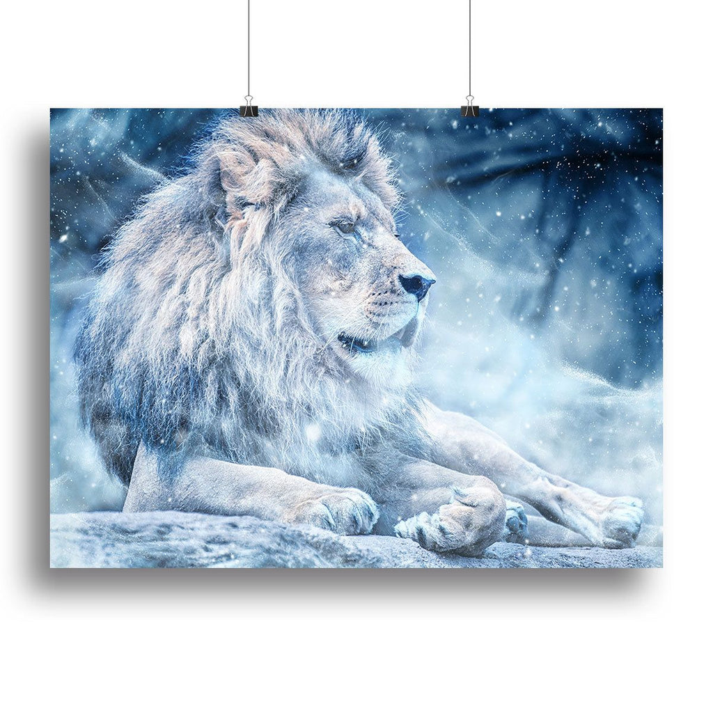 Premium White Lion Canvas Print for Home Decor - 24" x 16" / 60cm x 40cm (approx) / Poster Print